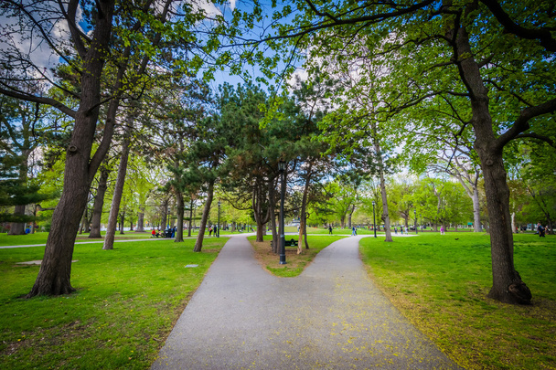 Walkways at Queen's Park, in Toronto, Ontario. - Фото, зображення