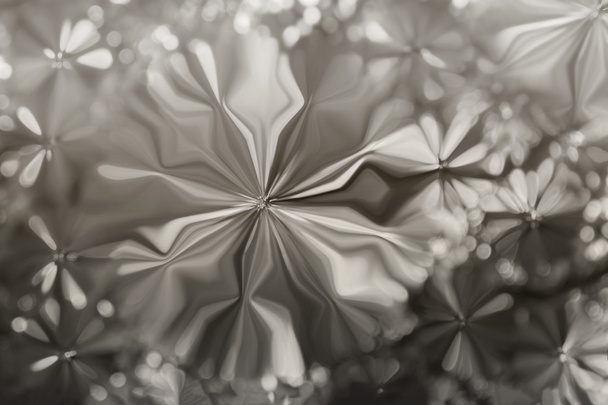 Abstract millennium or silver platinum colour flowers shape patt - Photo, Image