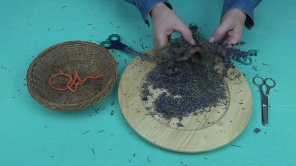 Man cutting lavender - Footage, Video