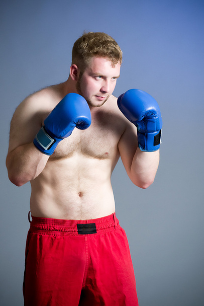 Portrait of boxer on dark background - Valokuva, kuva