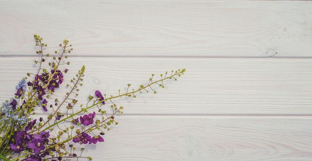 Fundo de verão suave para a decoração de cartões. Flores silvestres e madeira
 - Foto, Imagem
