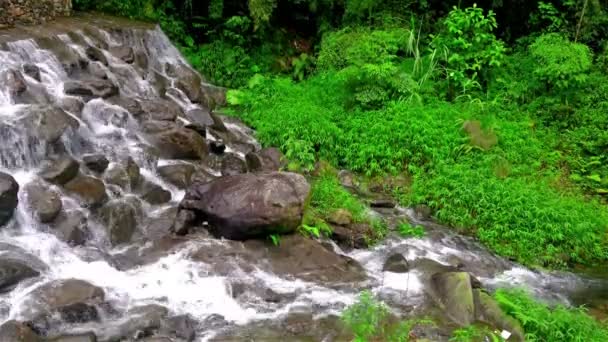 Waldbach läuft über bemooste Felsen 4k - Filmmaterial, Video