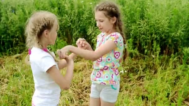 Dwa wesoły piękne małe siostry grając na lato zielony łąka. - Materiał filmowy, wideo