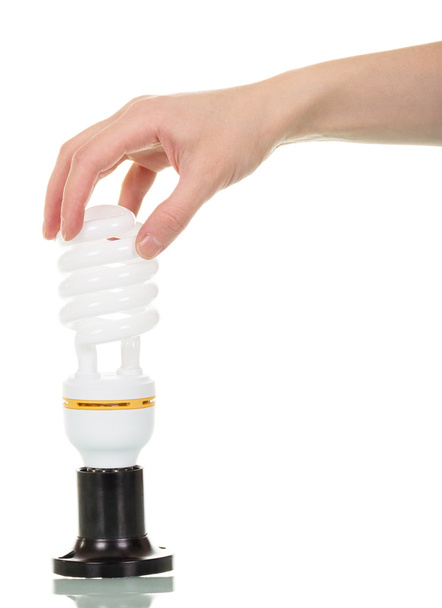 Hand  woman holding energy saving bulb isolated on white background. - 写真・画像