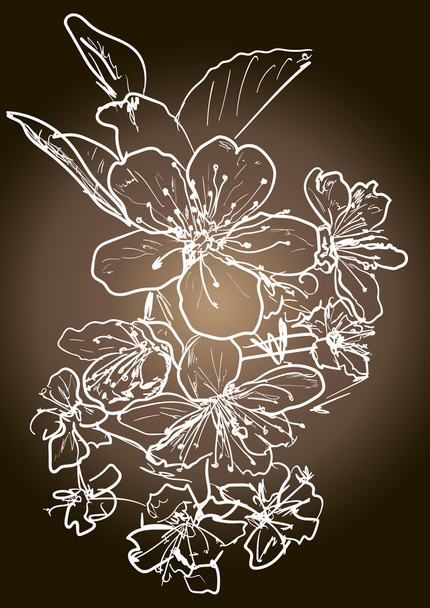 Jablečný květ - Vektor, obrázek