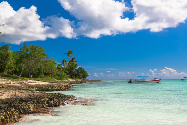Bella vista sulla spiaggia di Coral a Saona, Repubblica Dominicana
 - Foto, immagini