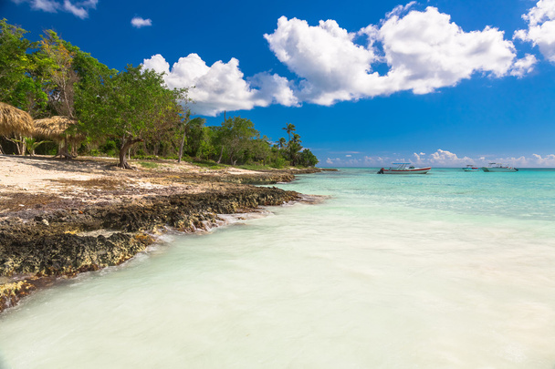 Gyönyörű kilátás a Coral Beach Saona, Dominikai Köztársaság - Fotó, kép