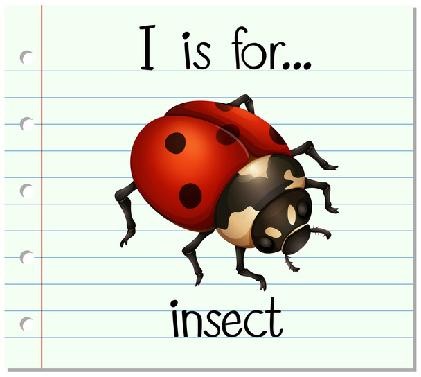 Karteikartenbuchstabe i ist für Insekten - Vektor, Bild