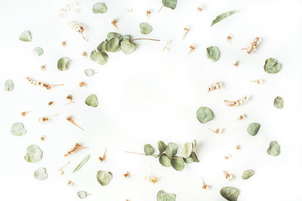 Kuru ve taze dalları ile çerçeve - Fotoğraf, Görsel