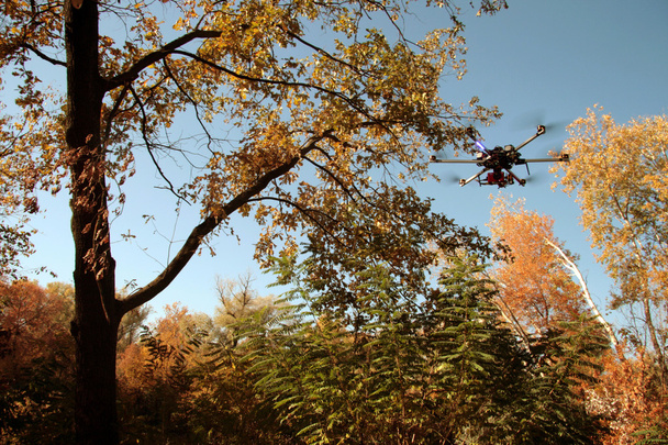 hexacopter dans la forêt d'automne
 - Photo, image