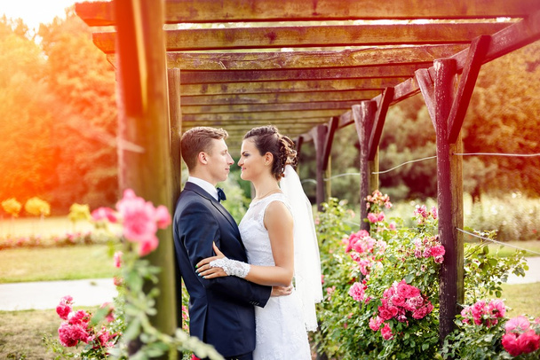 Yeni evliler park gül yanındaki güzel pembe güller içinde - Fotoğraf, Görsel