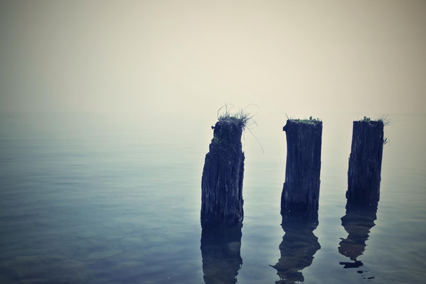 три старых деревянных столба торчат из морской воды
 - Фото, изображение
