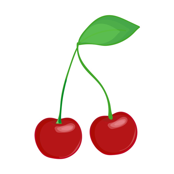 Cherry on white background. Hand drawn berries. Vector illustration. - Vektor, obrázek