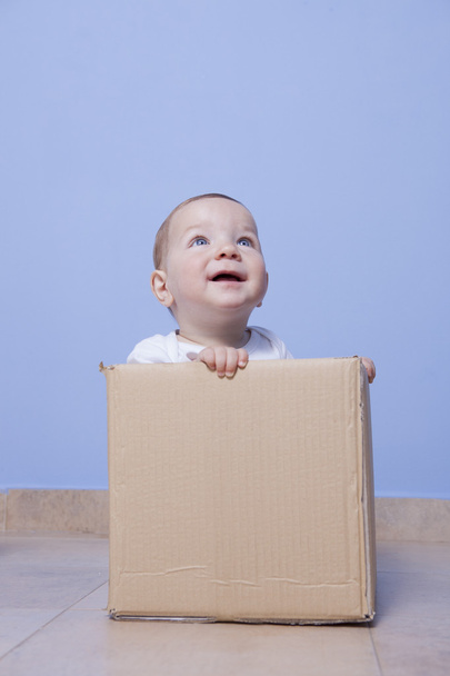 baby boy playing in cardboard box - Photo, Image