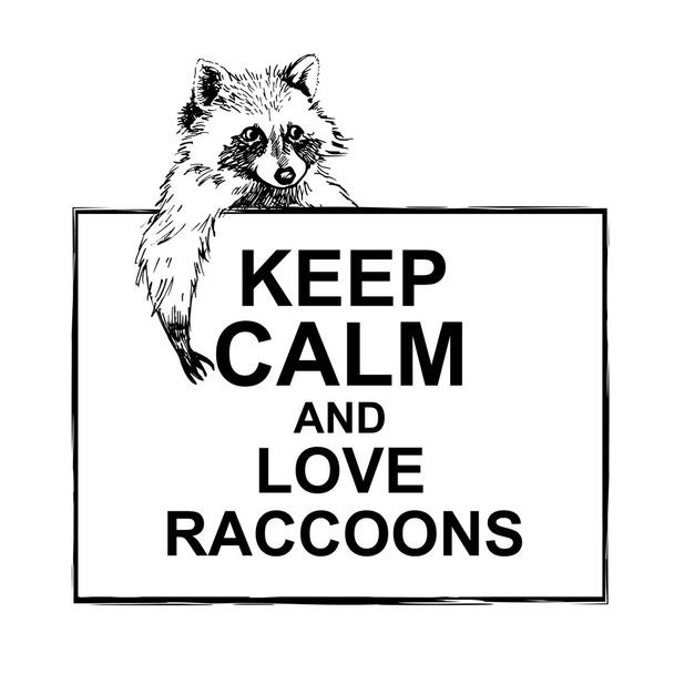 Funny and touching raccoon lies on banner keep calm and love raccoons hand drawn engrave sketch vector illustration - Vector, Image