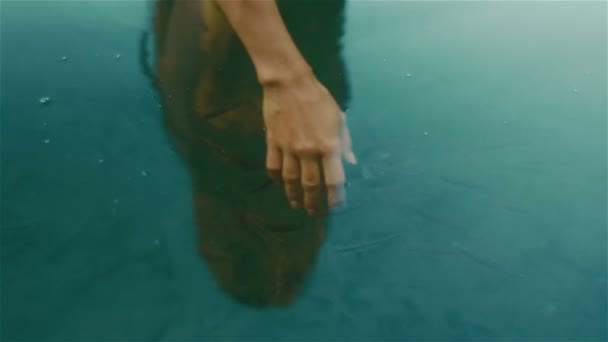 Fragile white woman hand submerged in the calm blue water of mountain lake Synevir and surrounded by many little fishes. The harmony of human and nature - Video, Çekim