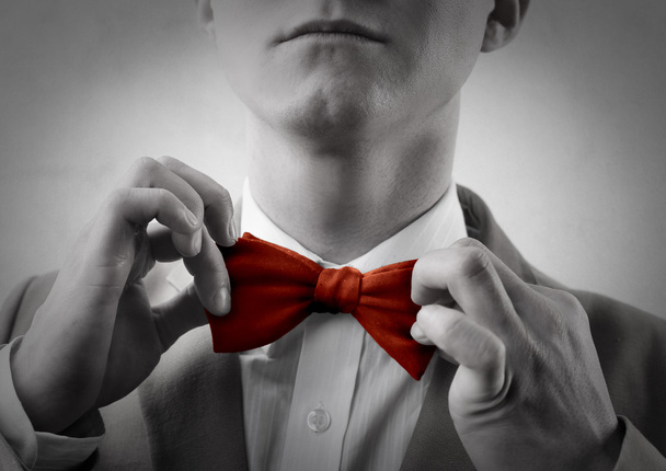 Red bow tie - 写真・画像