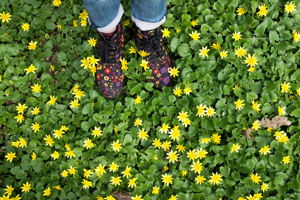дитячі ноги в кольоровому взутті на траві
 - Фото, зображення