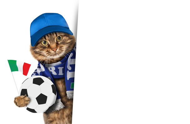 Grappige kat met voetbal  - Foto, afbeelding