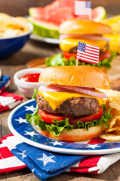 Homemade Memorial Day Hamburger Picnic - Valokuva, kuva