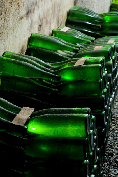 Wine archive, Hort Winery, Znojmo - Dobsice, Czech Republic - Foto, Imagem