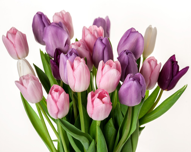 Colorful tulips flowers bouquet - 写真・画像