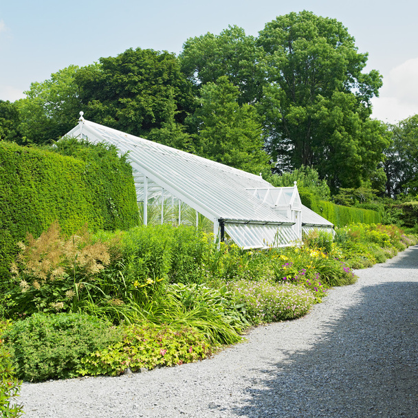skleníkové, etiopský zámecké zahrady, hrabství offaly, Irsko - Fotografie, Obrázek