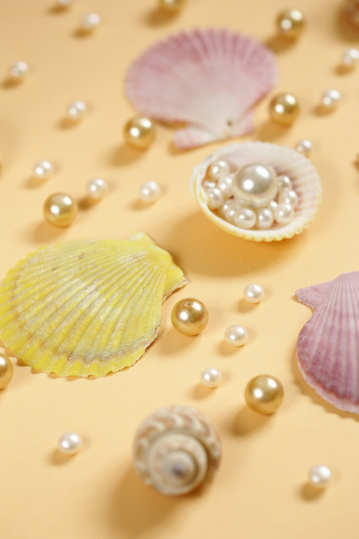 composition of the different types of pearls and shells  - Photo, Image