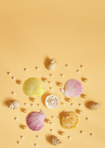 composición de los diferentes tipos de perlas y conchas
  - Foto, Imagen