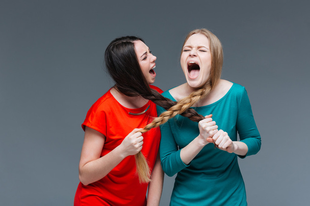 Two crazy women pulling braids of each other and shouting - Foto, Imagen