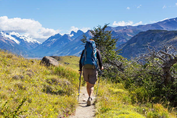 Patagonya Dağları'nda uzun yürüyüşe çıkan kimse - Fotoğraf, Görsel