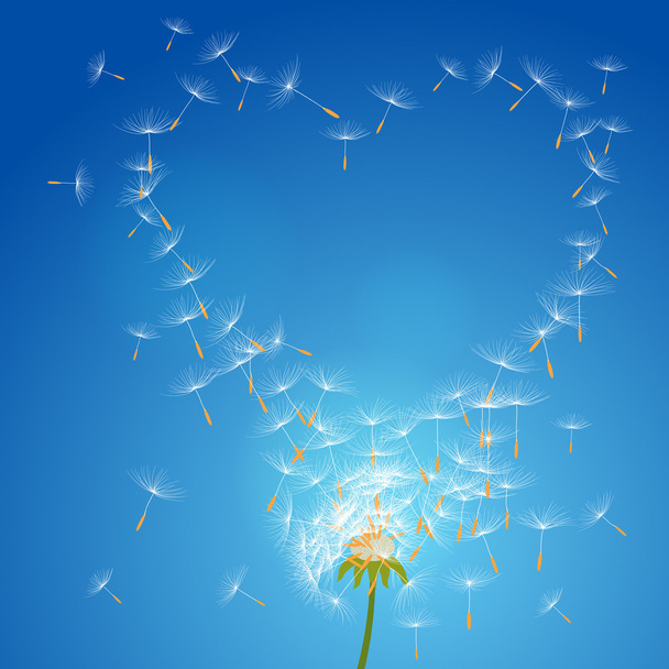 Dandelion flower on a wind loses the integrity forming love - vector - Διάνυσμα, εικόνα