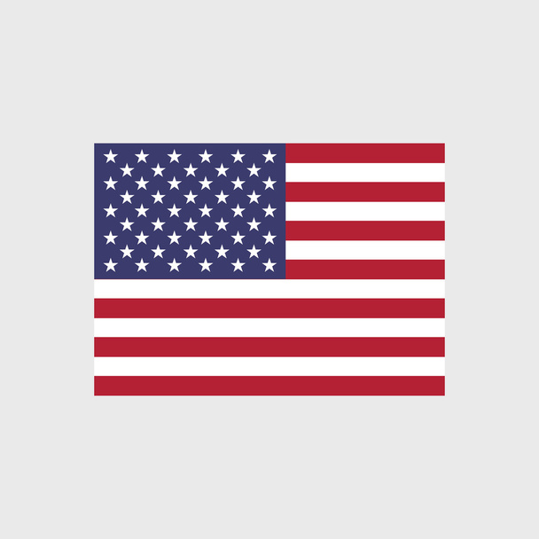 Ulusal bayrak Amerika Birleşik Devletleri - Vektör, Görsel
