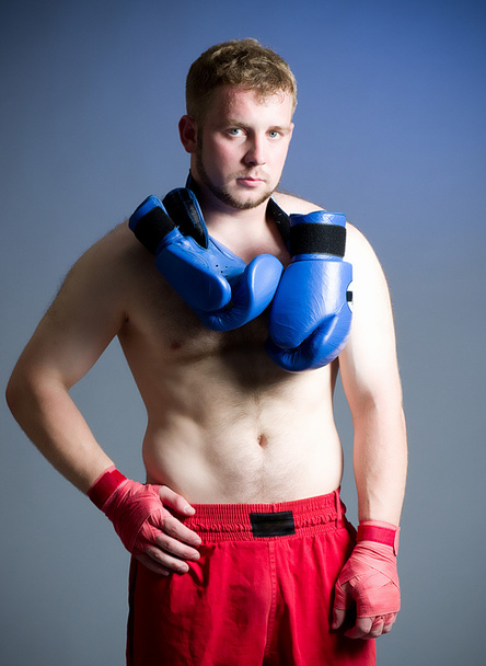 Portrait of boxer on dark background - Photo, Image