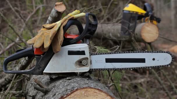 Lumberjack tomar motosserra na floresta
 - Filmagem, Vídeo