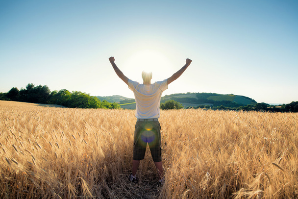 campo de trigo dourado com o homem um dia ensolarado
 - Foto, Imagem
