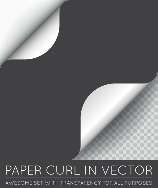 Rizo de página de papel
 - Vector, imagen