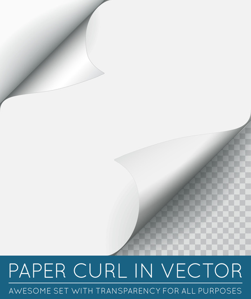 papír oldal curl - Vektor, kép