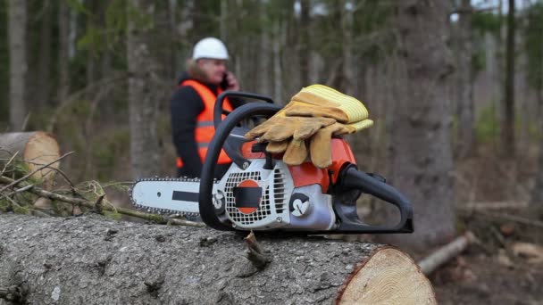 Бензопила и перчатки на дереве в лесу
  - Кадры, видео