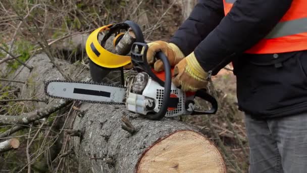 Lumberjack tentando iniciar motosserra
 - Filmagem, Vídeo