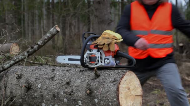Lumberjack tomar motosserra e luvas
  - Filmagem, Vídeo