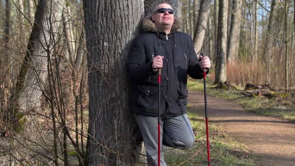 Hiker with walking sticks enjoy nature in park - Footage, Video