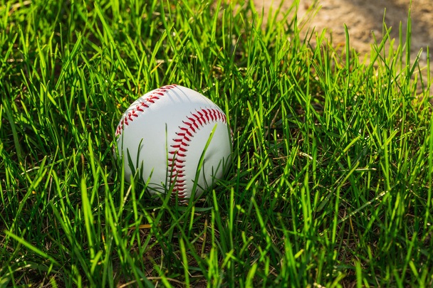 Baseball Ball in Grass - Фото, зображення