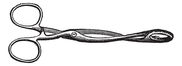 Fig. 84. Tongue forceps or forcipes, vintage engraving. - Vector, Image
