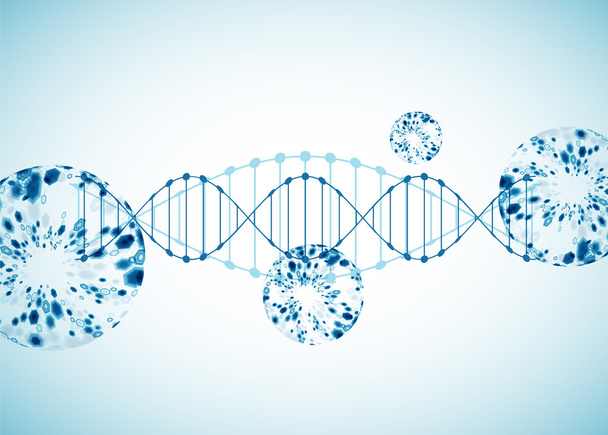 Science template, wallpaper or banner with a DNA molecules.  - Vetor, Imagem