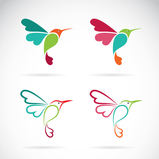 Vector afbeelding van een kolibrie ontwerp op witte achtergrond, Logo, - Vector, afbeelding