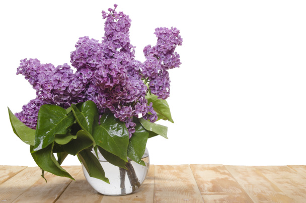 piękny liliowy w steklyannoy do wazon - Zdjęcie, obraz