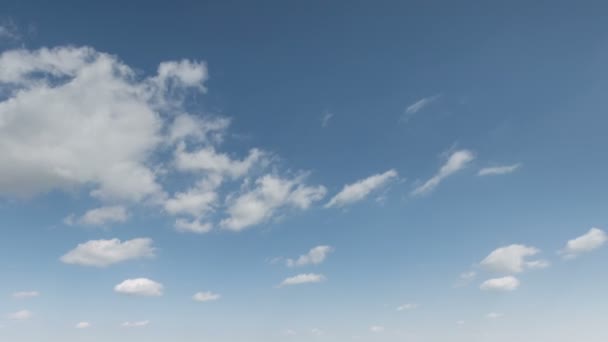 Het verkeer van wolken over de velden van wintertarwe in het vroege voorjaar in de uitgestrekte steppen van de Don. - Video