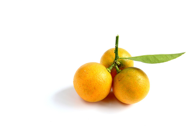 Kumquat sobre fondo blanco
 - Foto, Imagen