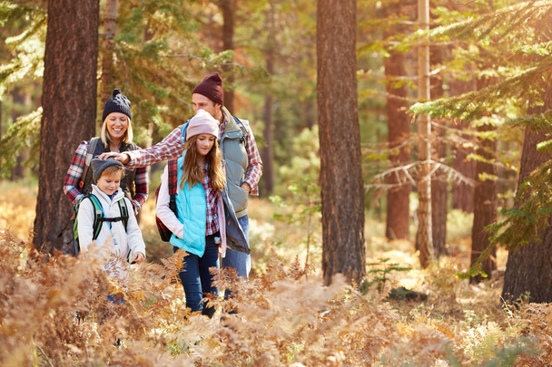 Family having fun hiking through forest - Φωτογραφία, εικόνα